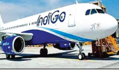 Indigo